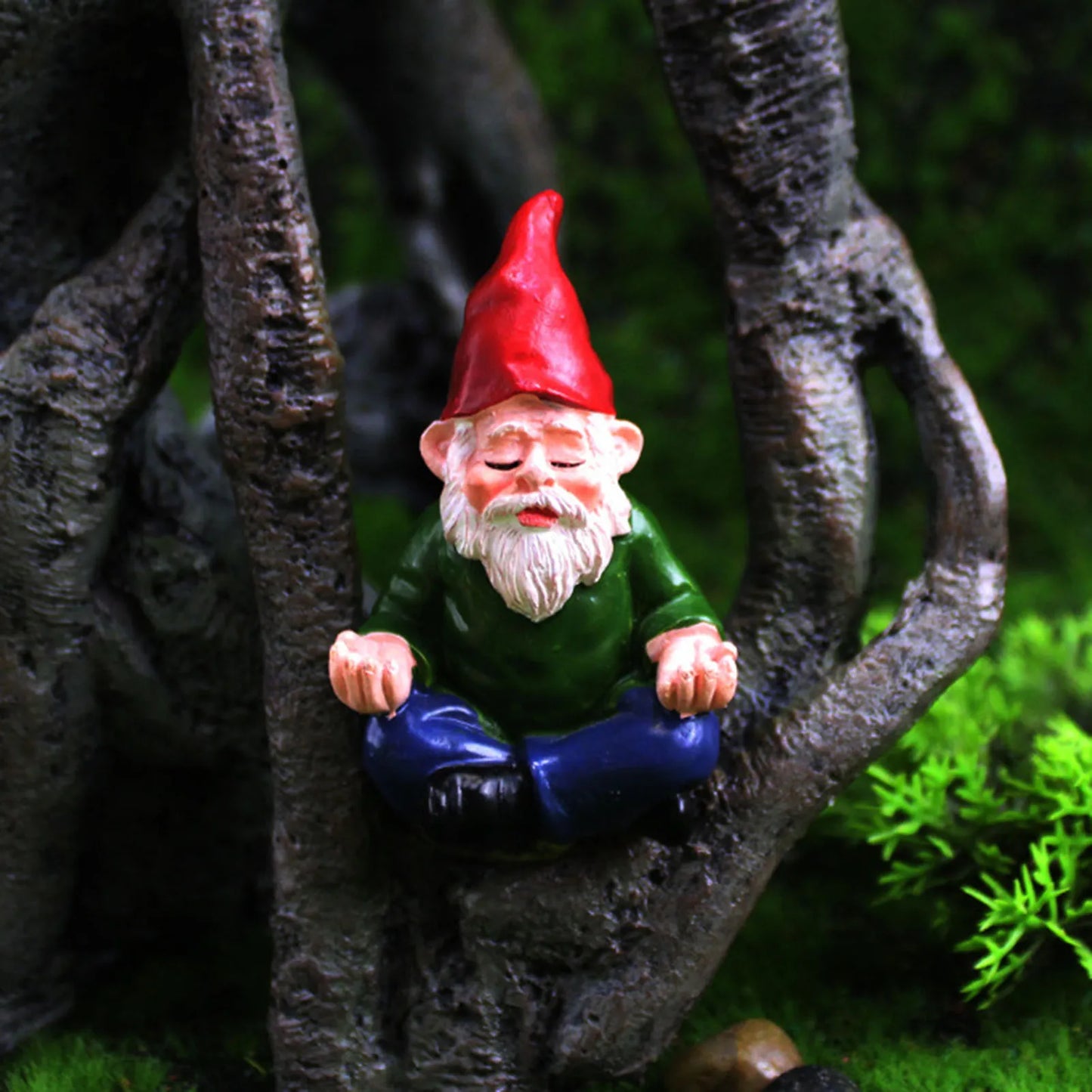Garden Gnome Riding Turtle