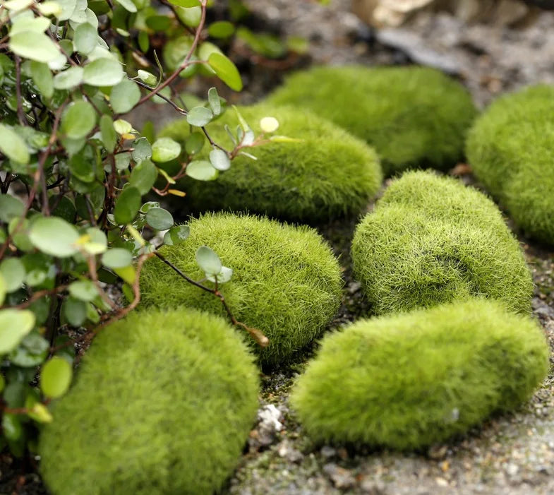 DIY Fairy Garden Miniature Ornaments